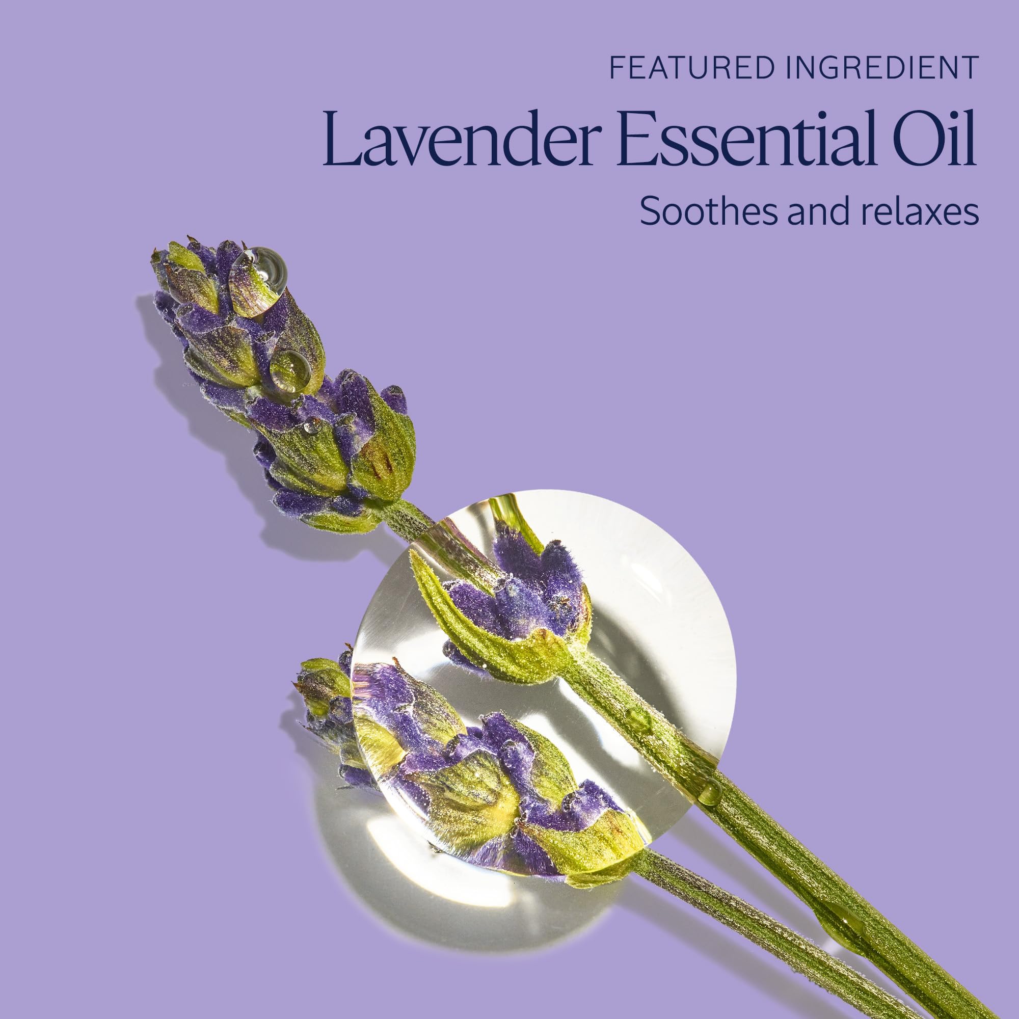 L'OCCITANE Foaming Bath: Relaxing Lavender, Comforting Shea, Beautifying Almond Milk, Citrusy Verbena, Cleansing Bubble Bath, 16.9 Fl. Oz - Image 4