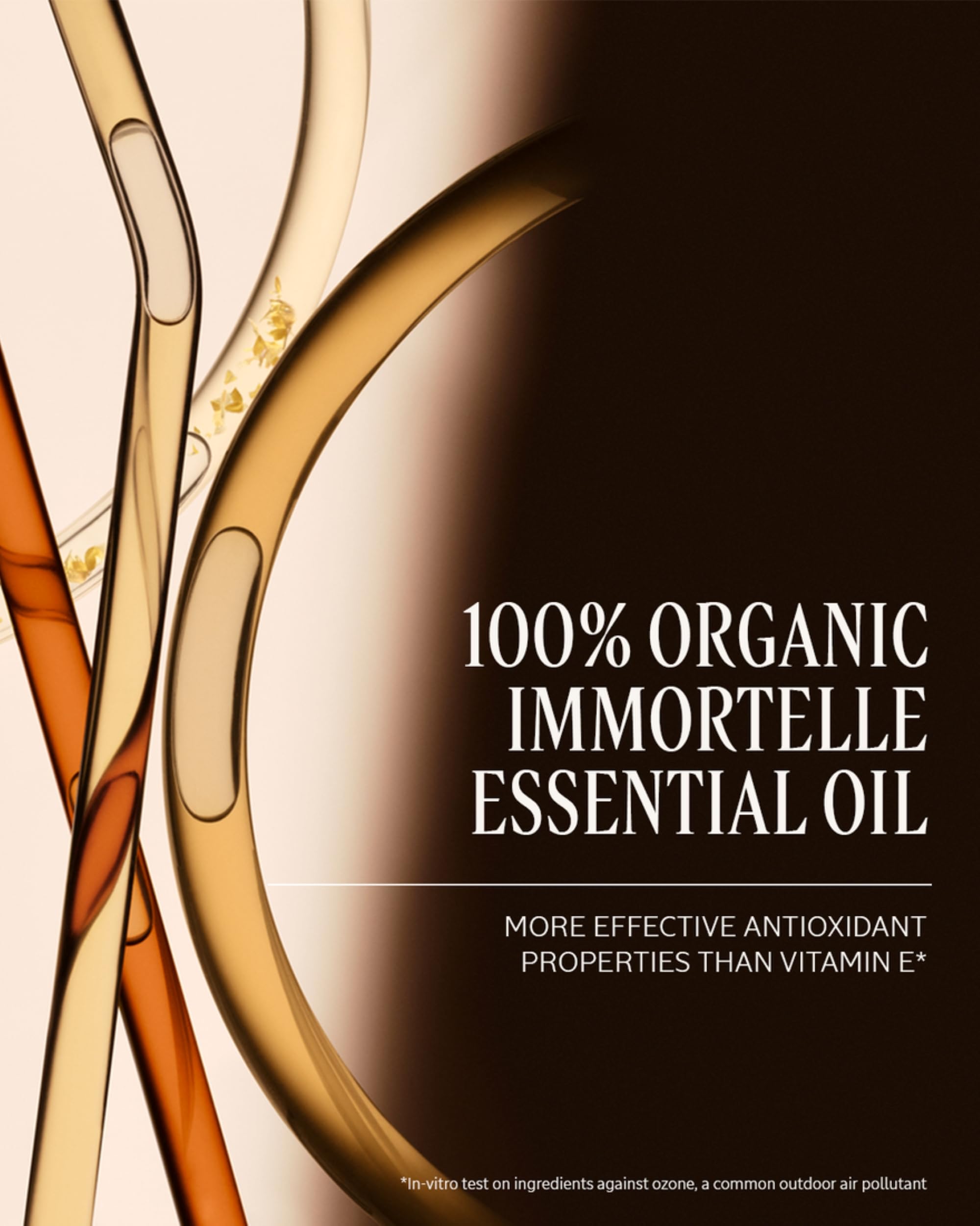 L'Occitane Immortelle Divine Cream, Anti-Aging Face Moisturizer, Firms Skin & Helps Reduce Fine Lines, Wrinkles & Age Spots, Daily Hydrating Skincare - Image 6